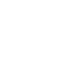Digital Incident Reporting Systems