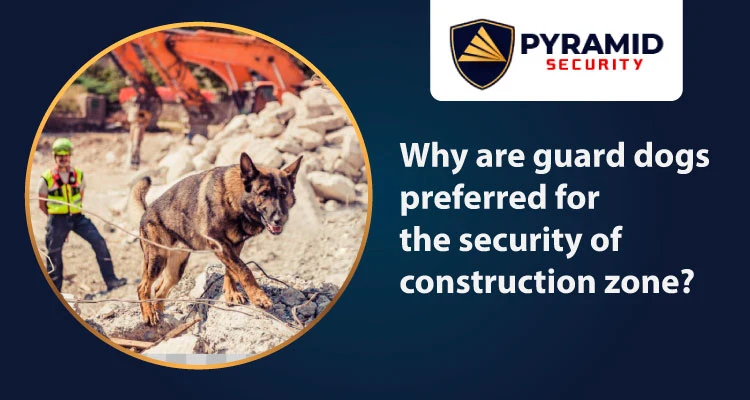 Why Are Guard Dogs Preferred For The Security Of Construction Zones?