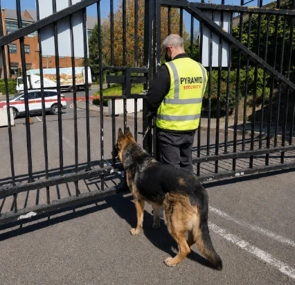 K9 Team Deployment & Reporting