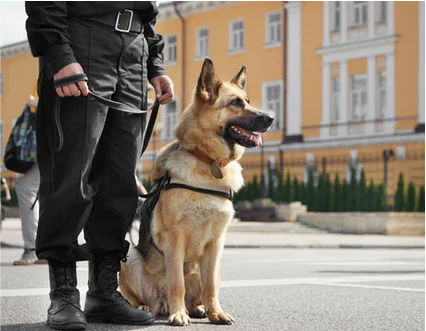 After Hours Security Services