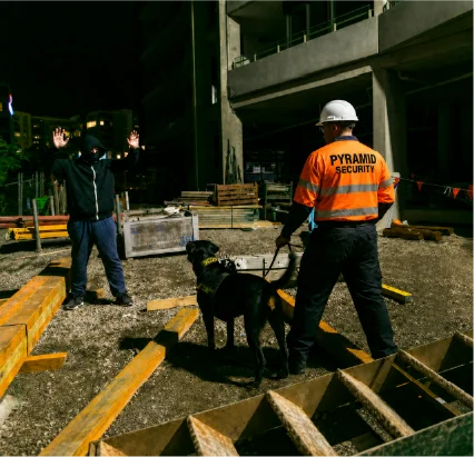 Site Risk & K9 Suitability Assessment